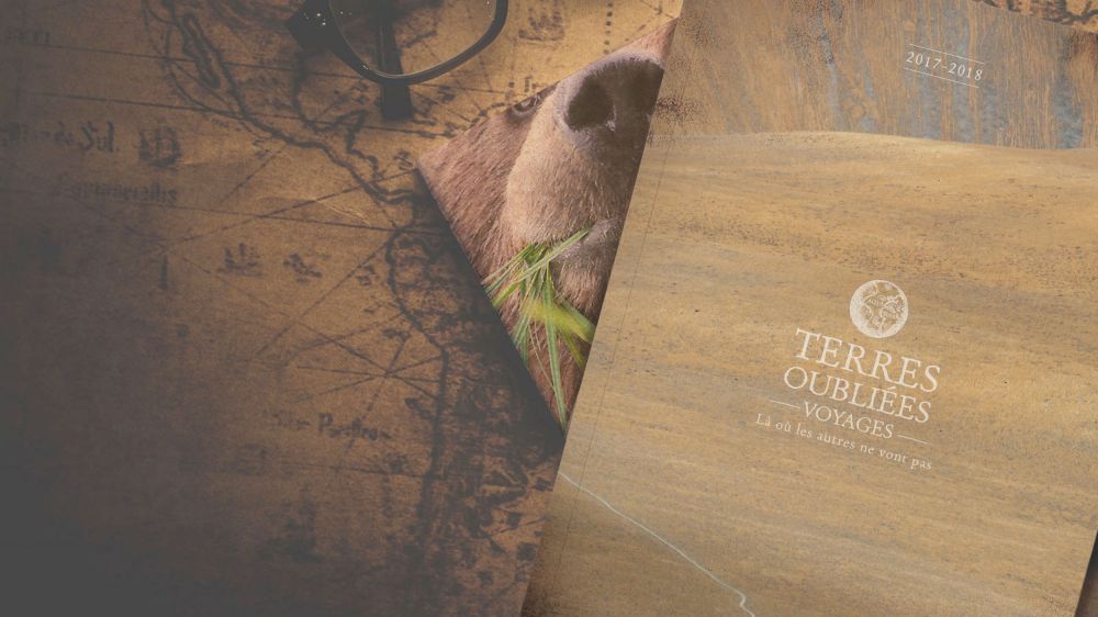 couverture brochure voyages naturalistes couverture brochure voyages naturalistes