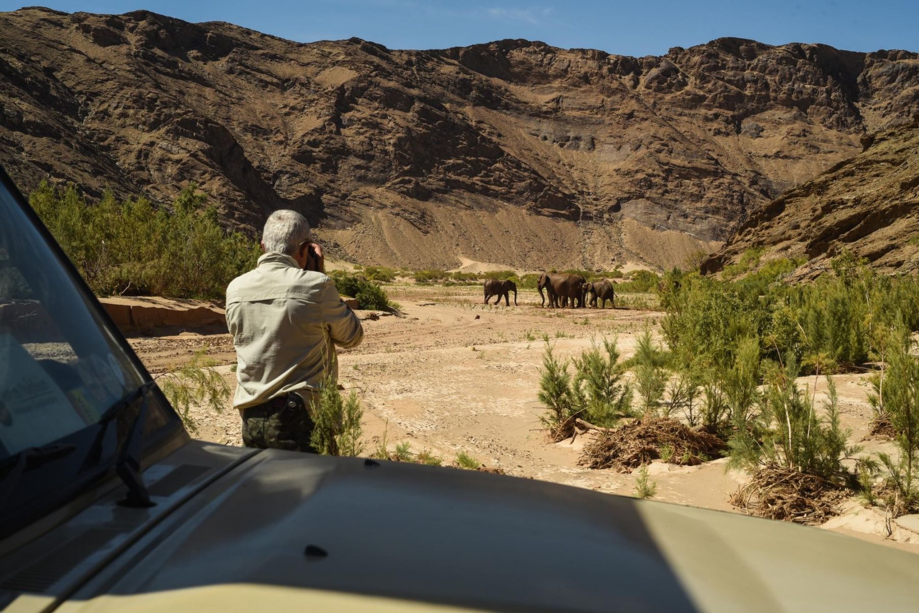 safaris en namibie