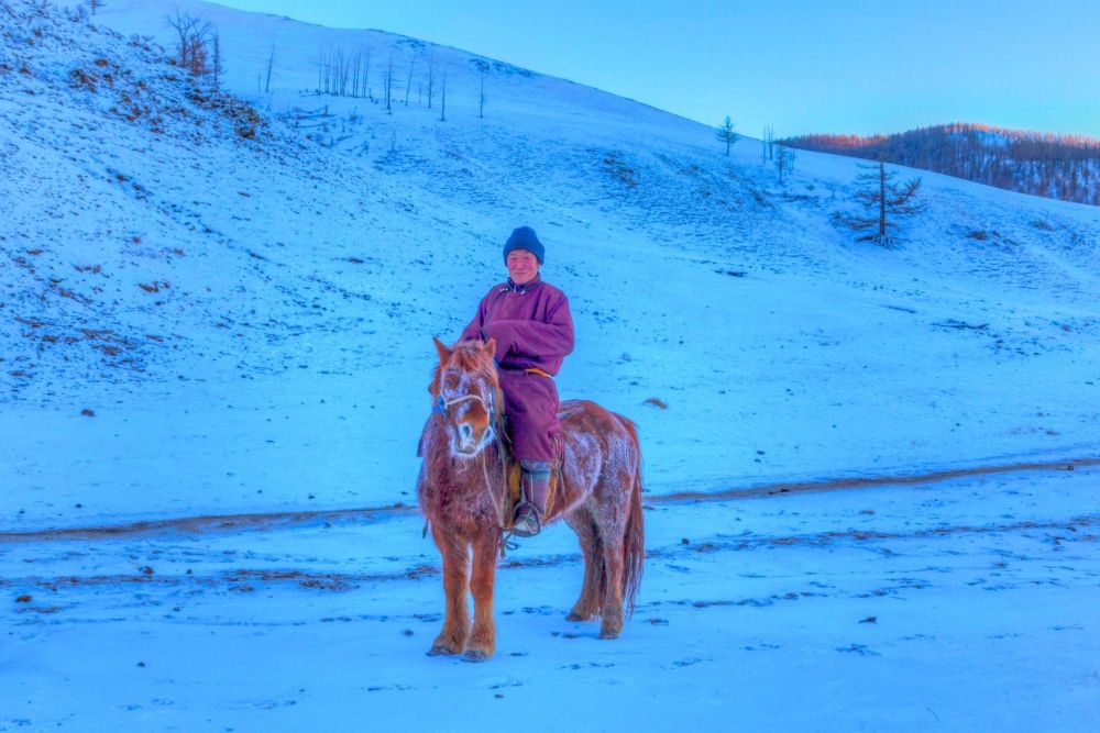 Homme sur sa mule dans l'hiver mongole