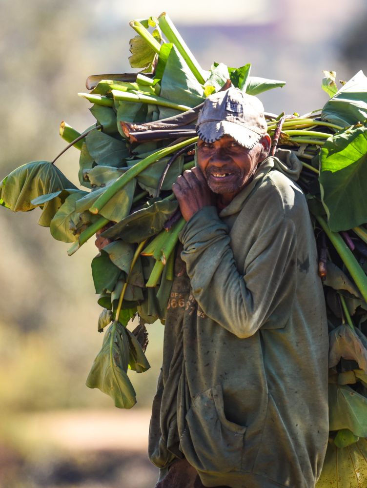 portrait d'un paysan malgache