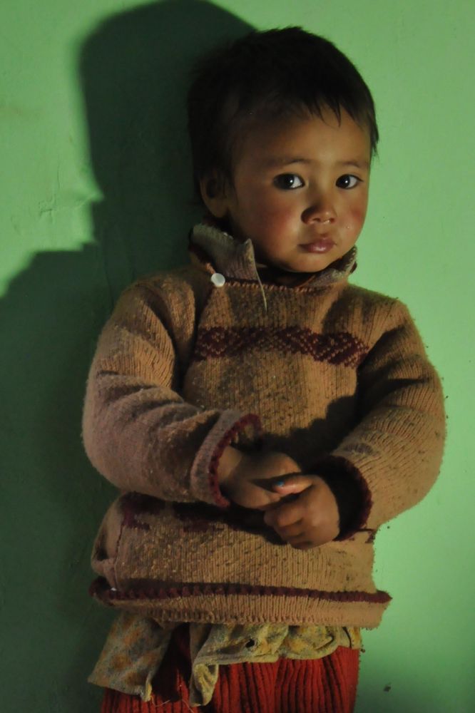 Petit garçon ladakhi, petit-fils du médecin amchi