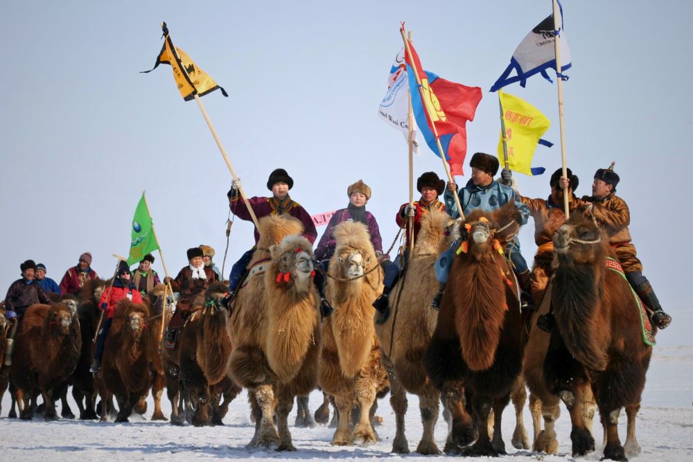 Parade des chameaux