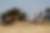 Photo voyage Botswana 1