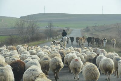 Photo voyage Arménie 1