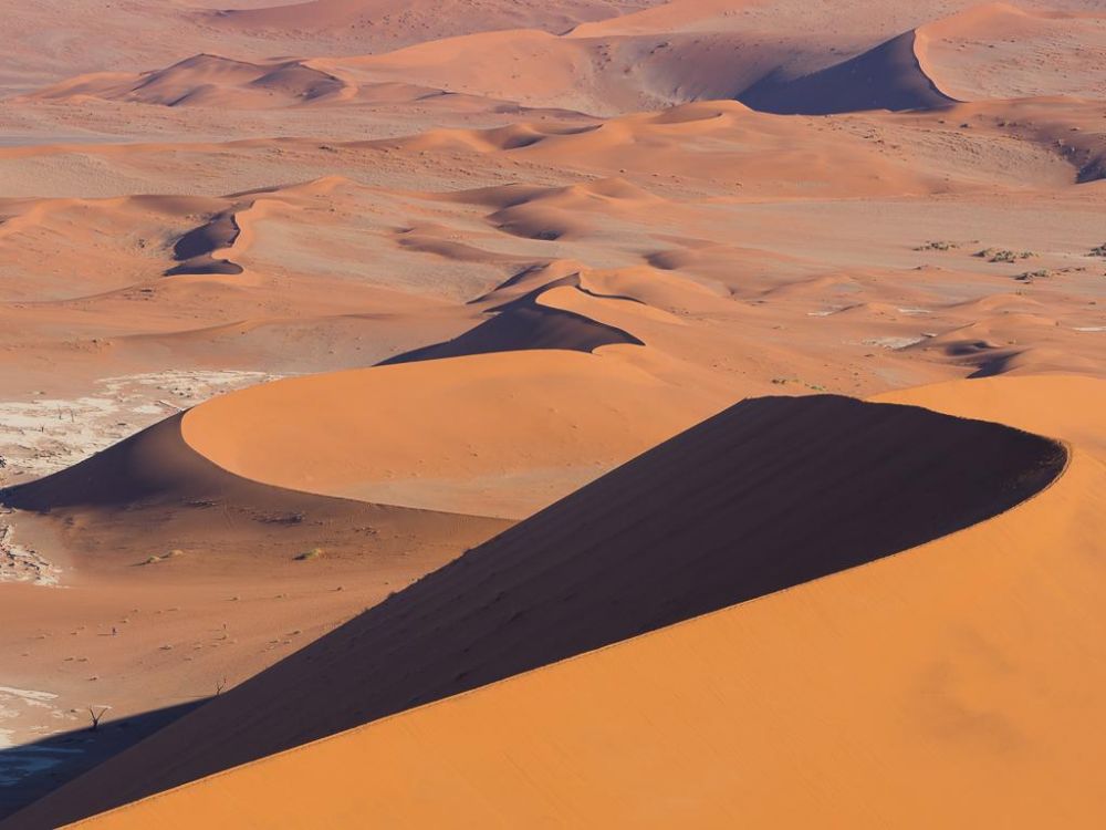 Photo voyage Namibie 9