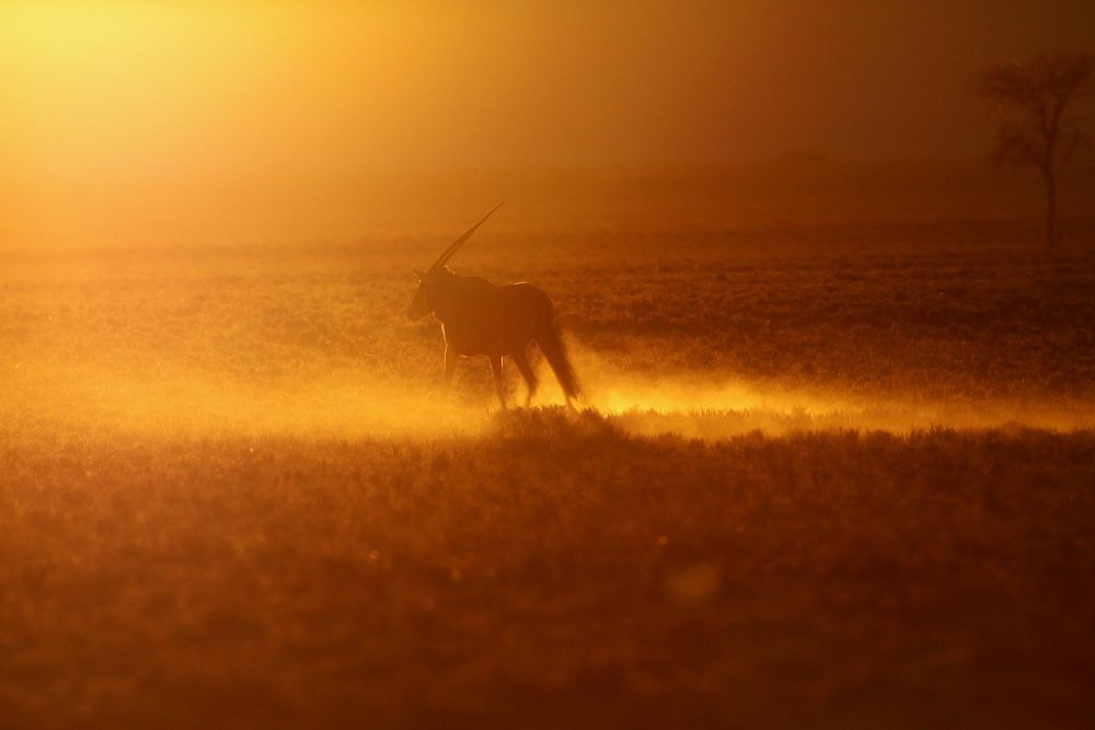 Photo voyage Namibie 10