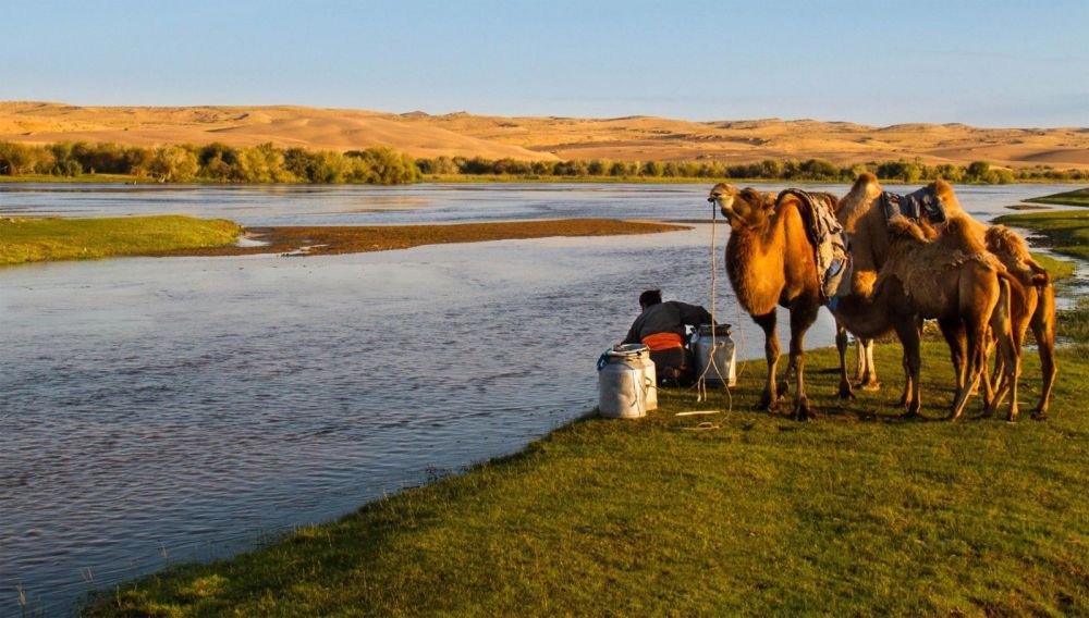 Photo voyage Mongolie 1