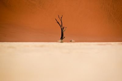 pan de Deadvlei