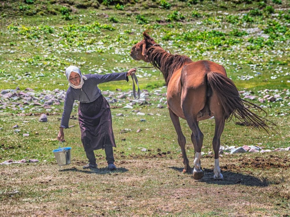 Eleveuse nomade et son cheval