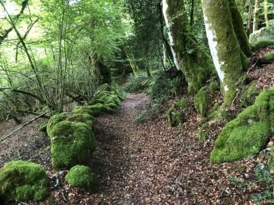 randonnée sur le plateau de Millevache