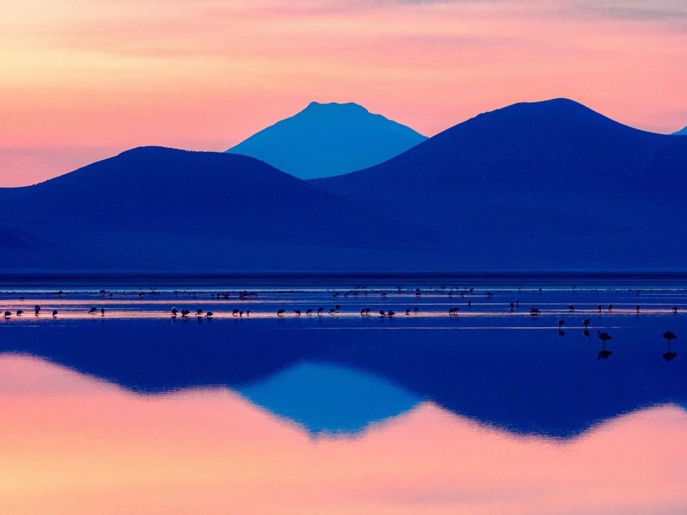 Une véritable palette en Atacama pour le peintre photographe u Chili et en Bolivie