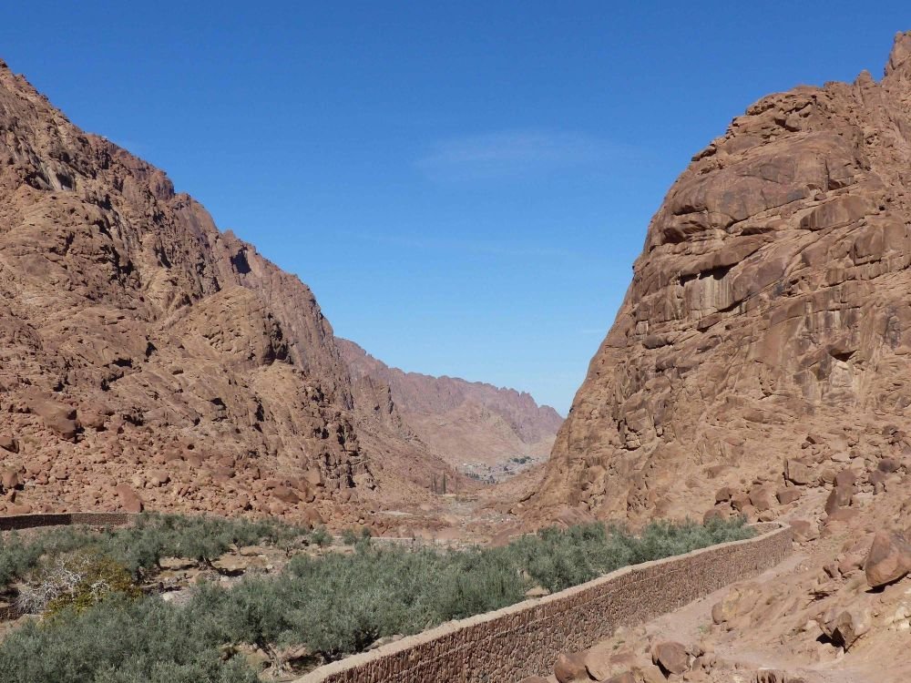 Bédouin et petit enfant sinai Egypte