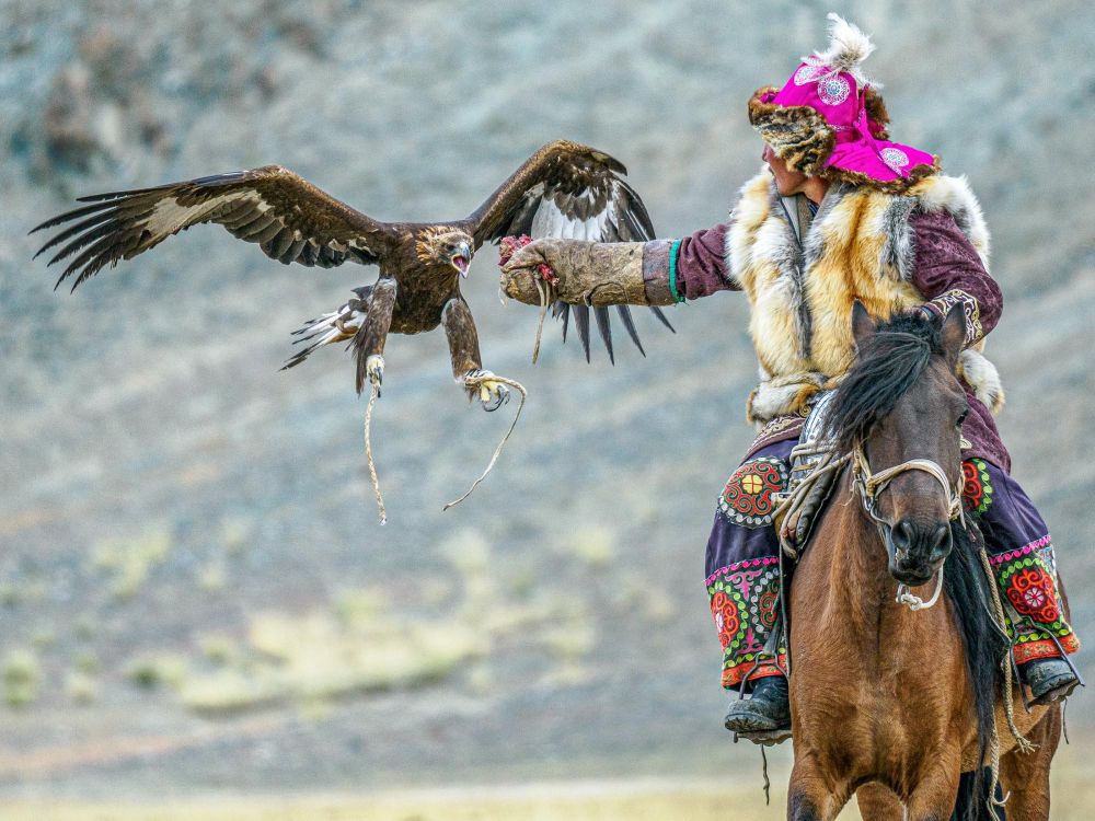 Les Burguichins, en osmose avec leur aigle royal