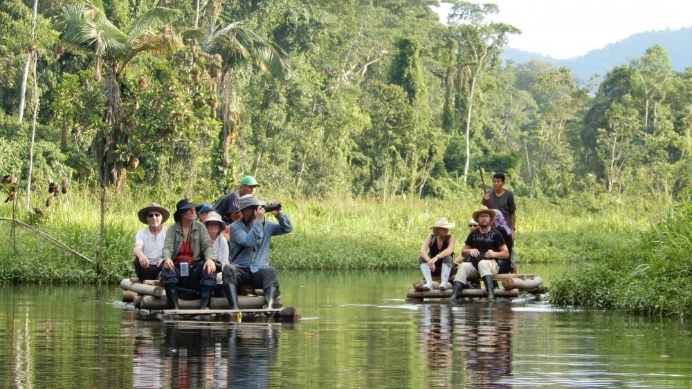 Séance d'observation animalière au sans la réserve strict du PN Manu