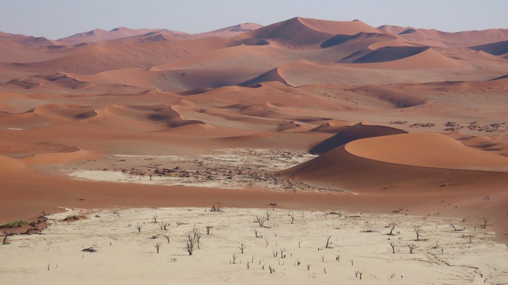Dunes du Namib