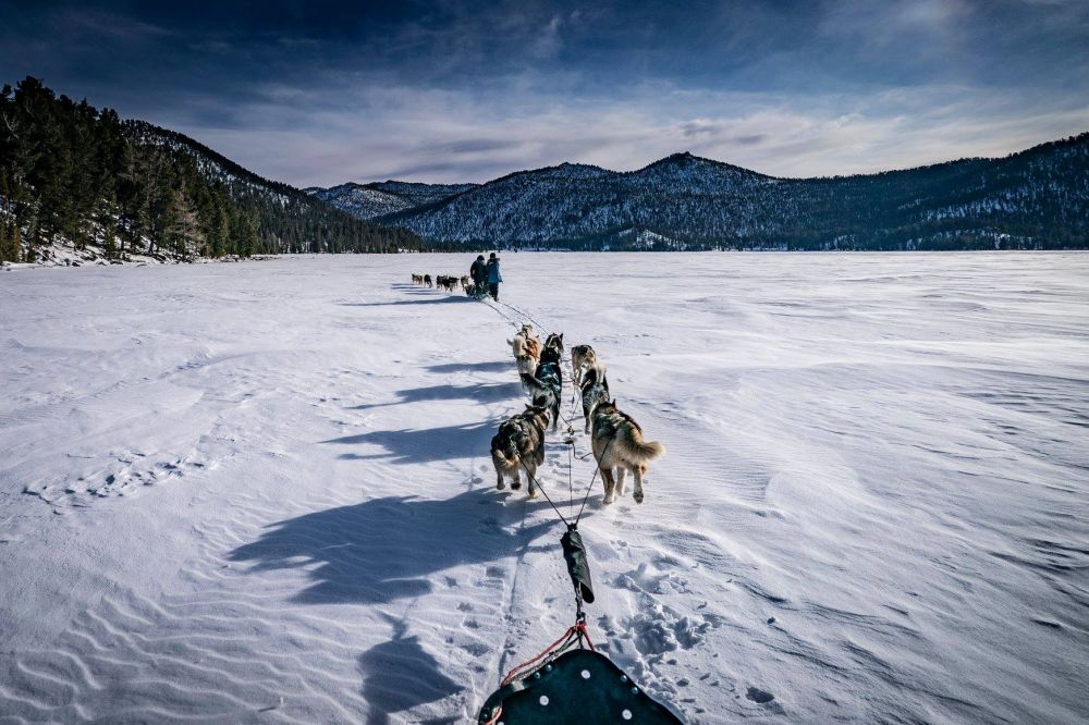 L'aventure sur la rivière Tuul