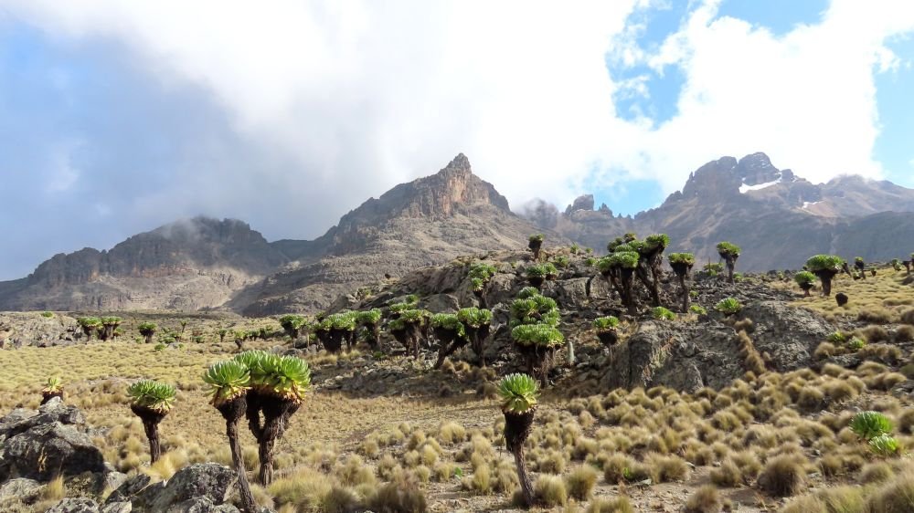 Ascension du Mont Kenya