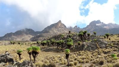 Ascension du Mont Kenya
