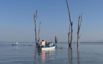 Safari en bateau lac de Naivasha Kenya