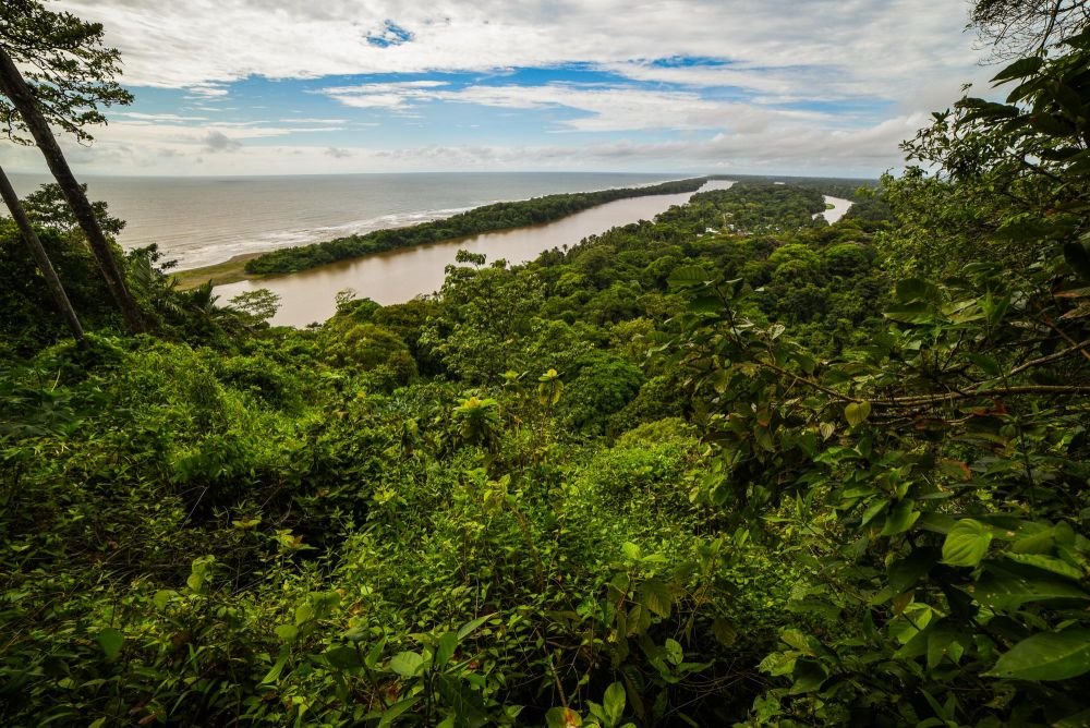 photo mangrove costa rica