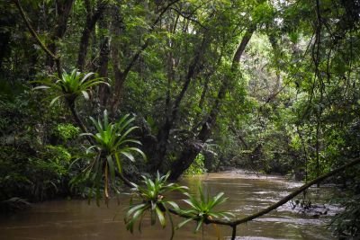 voyage nature costa rica