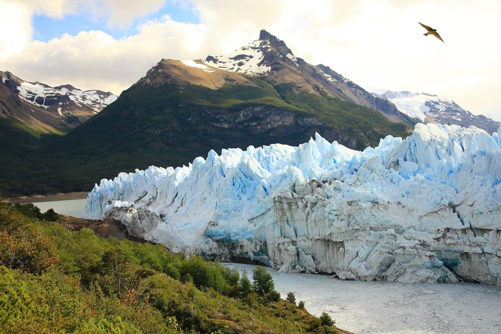 Découverte du Perito Moreno
