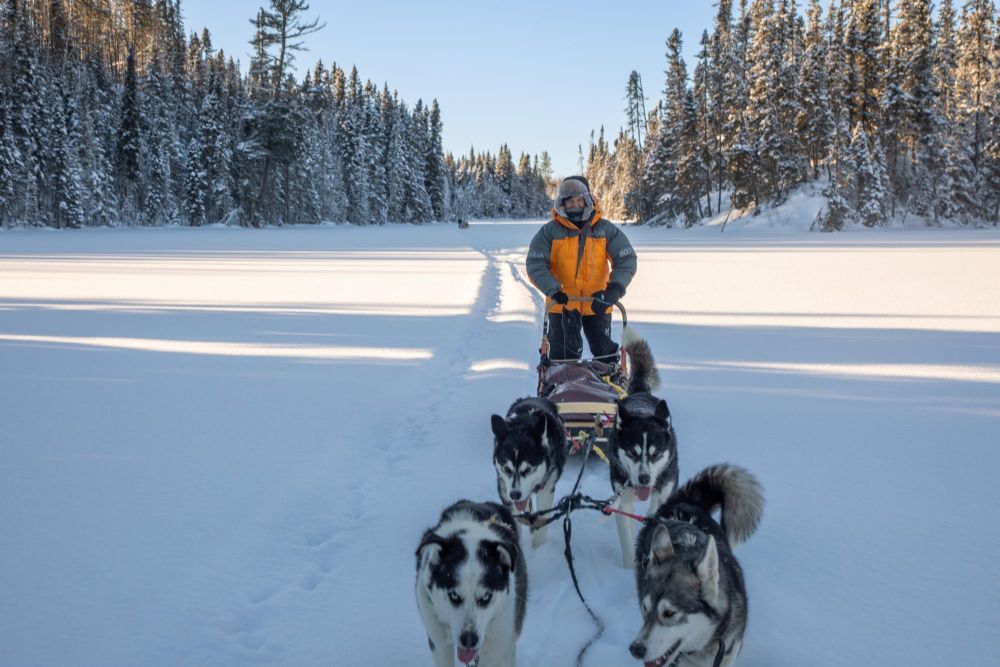 itinérance en chiens de traineau sur lac gelé du Québec