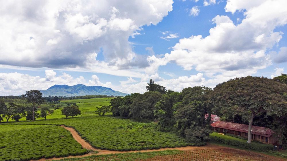 Mont Mulanje Malawi