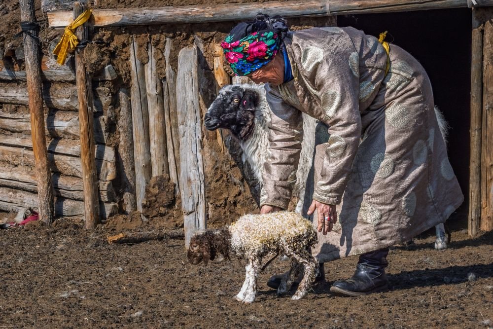 Photo voyage Mongolie 7