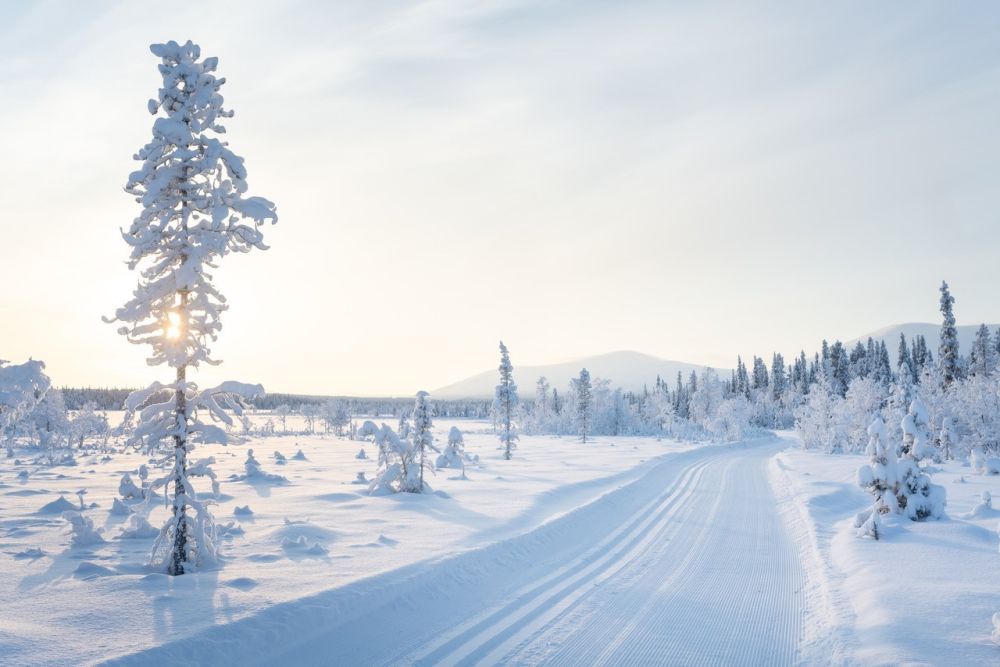 Photo voyage Finlande 8