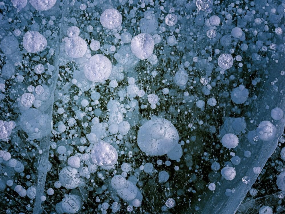 Photo voyage Mongolie 2