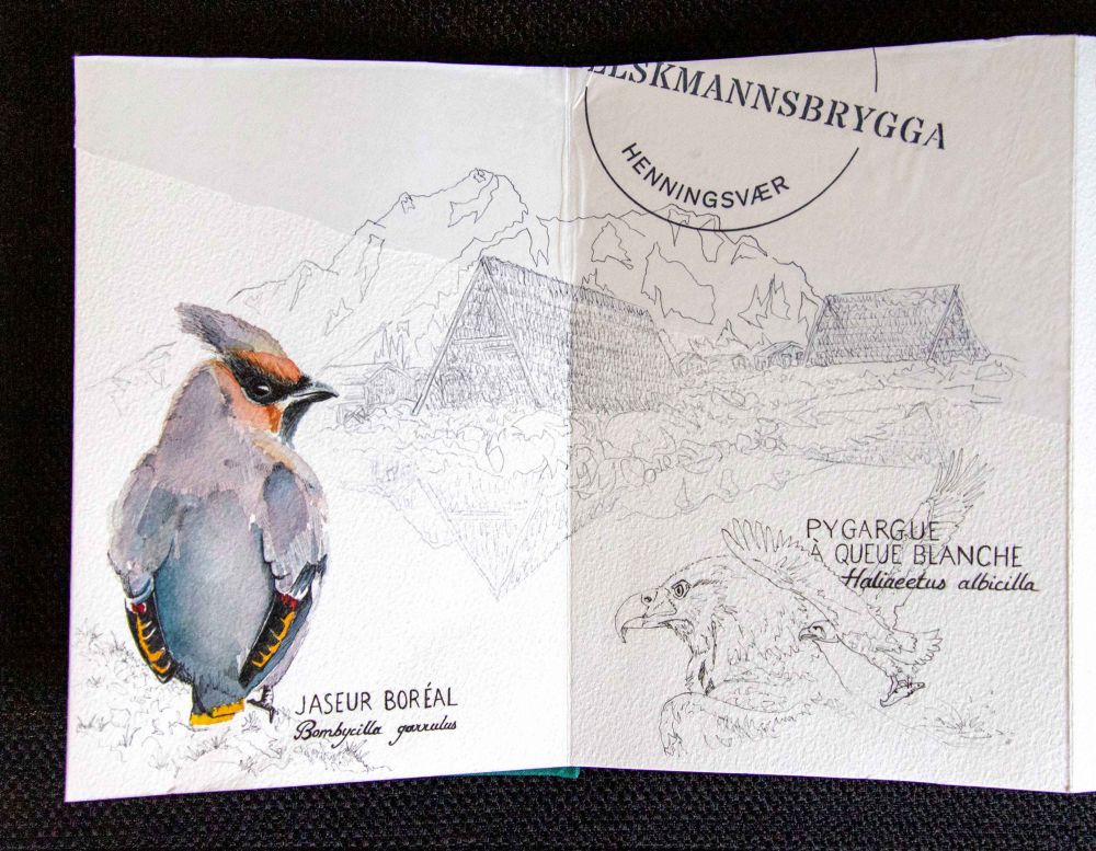 Extrait d'un carnet de voyage