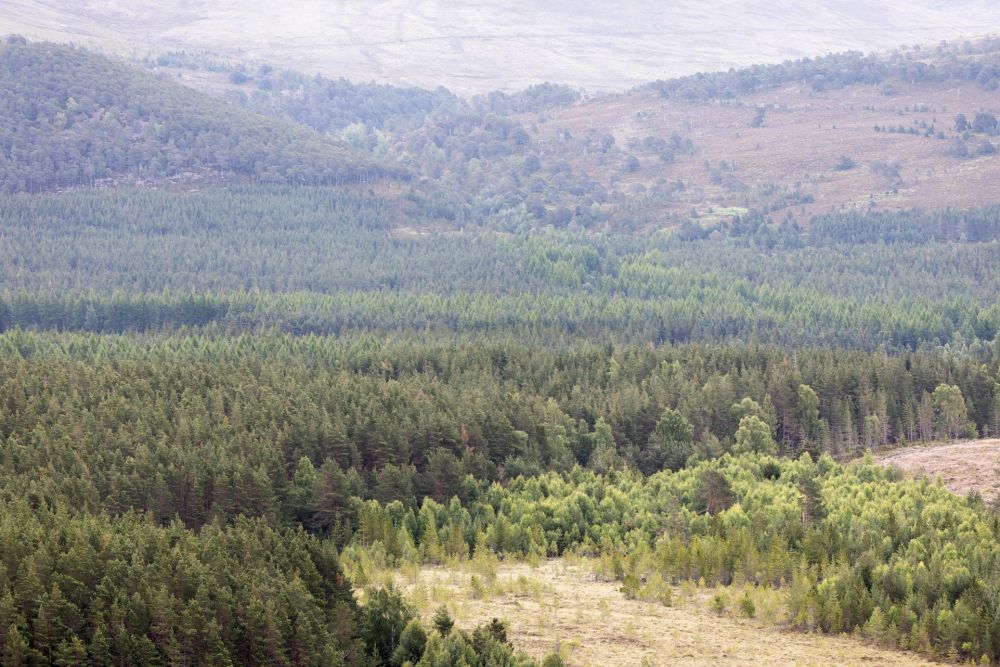 Parc national des Cairngorms
