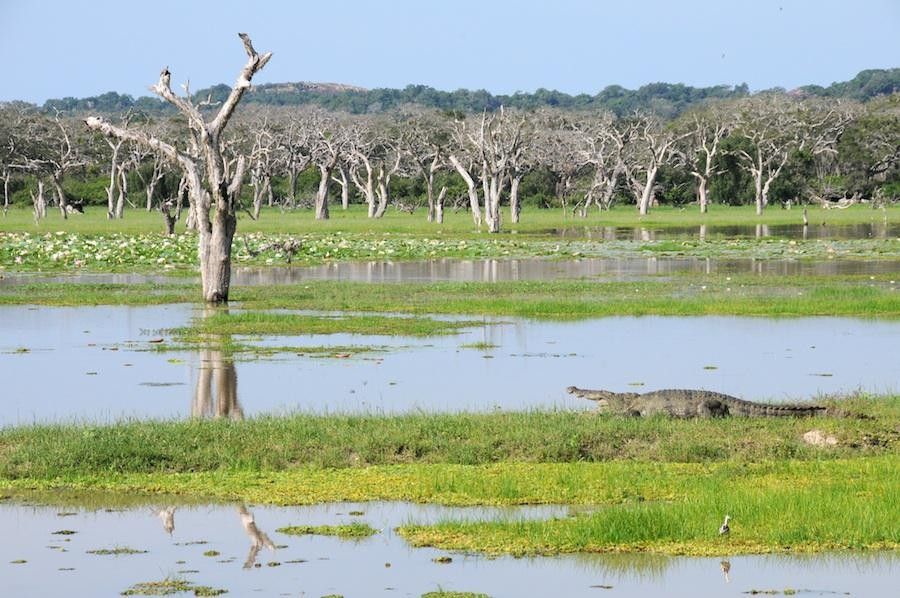 parc Sri Lanka