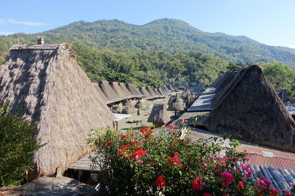 Village traditionnel à Flores