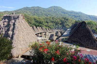 Village traditionnel à Flores