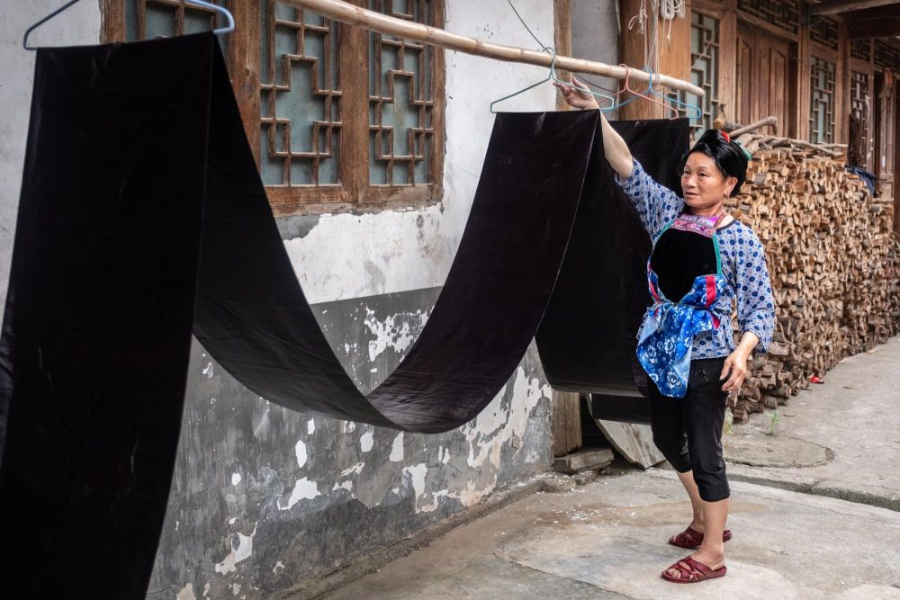 Indigo dans la province du Guizhou en Chine
