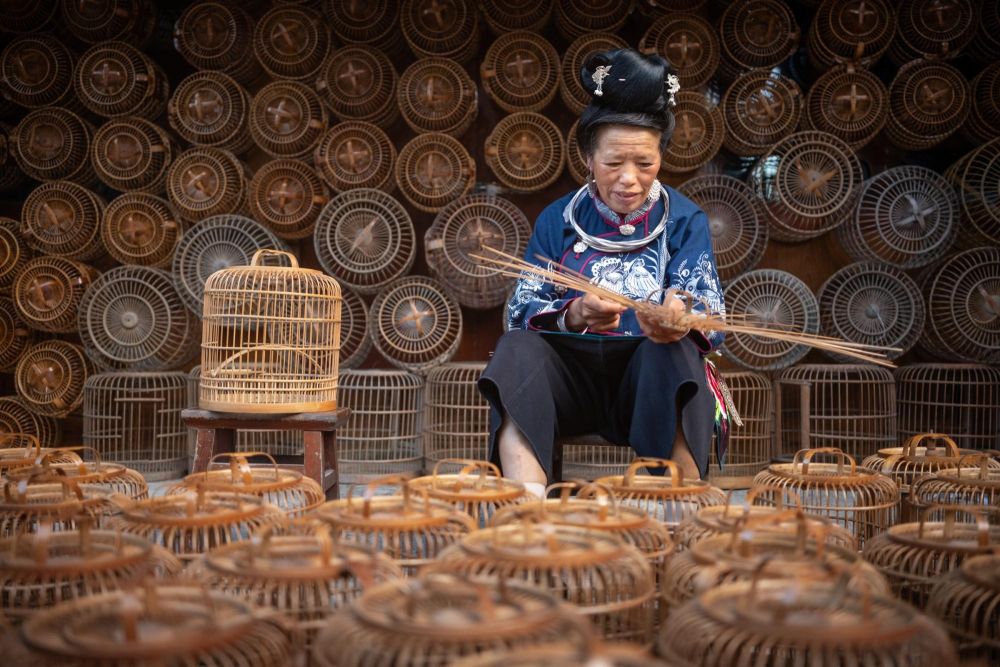 artisanat de cages à oiseaux