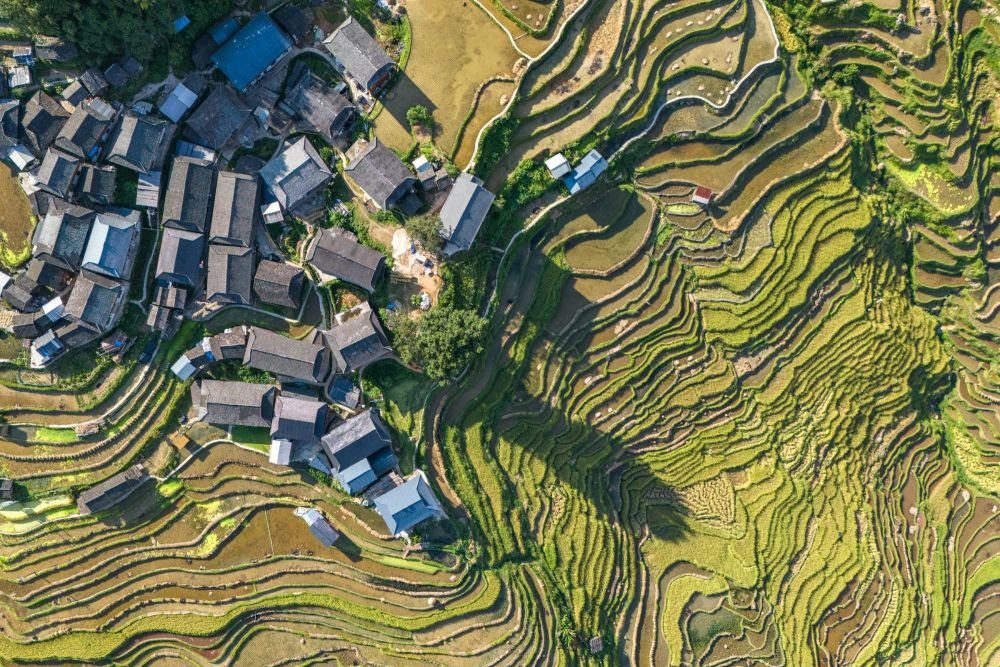 rizières de Jiabang, région de Guizhou, Chine