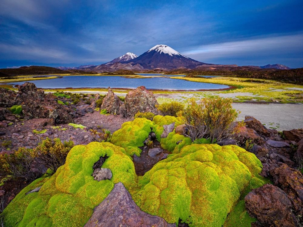 Laguna Chungara dans le Parc National Lauca