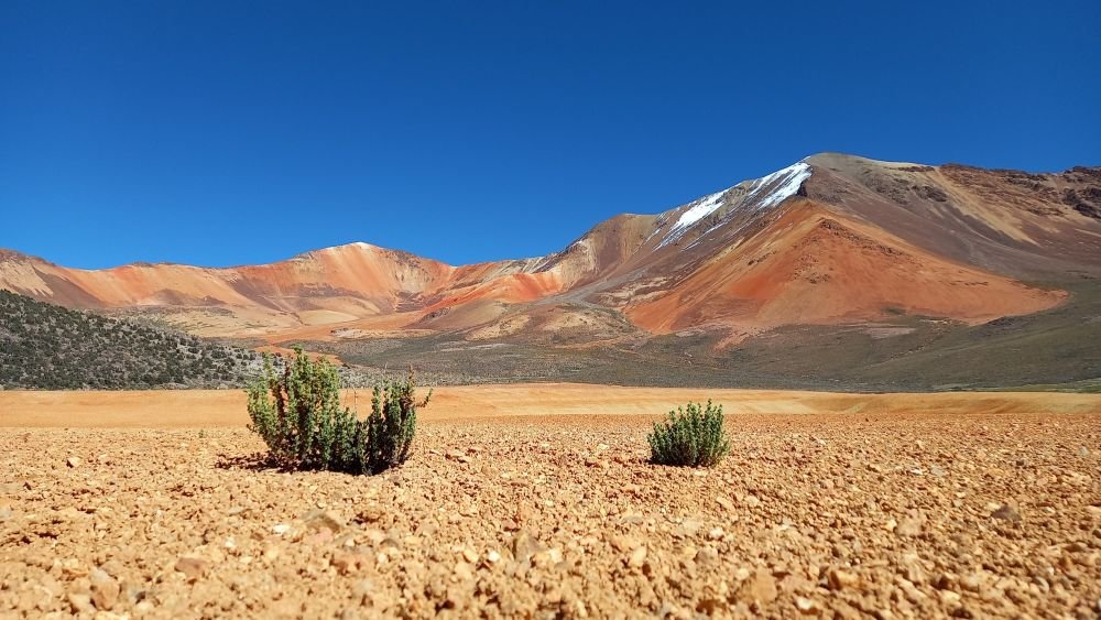Les hauts plateaux colorés de Suriplaza, point septentrional du Chili