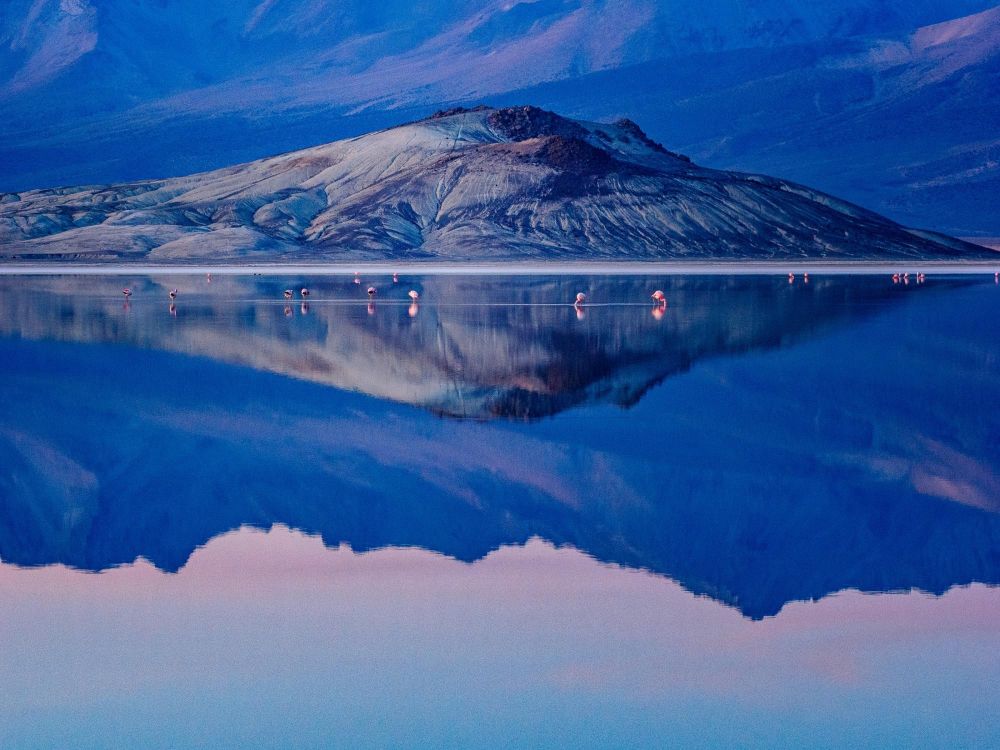 Lagunes altiplaniques et flamants roses dans le Sud Lipez en Bolivie
