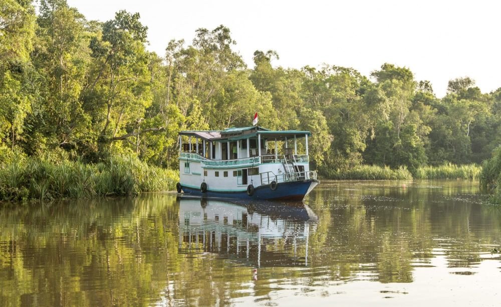 Bateau traditionnel klotok sur la rivière Seikonyer - Parc national de Tanjung Puting