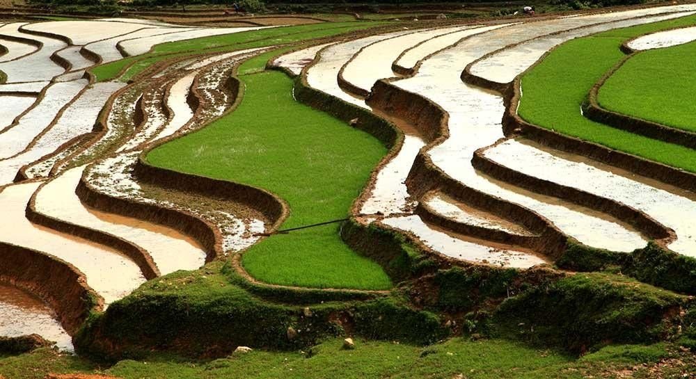 Photo voyage Vietnam 4