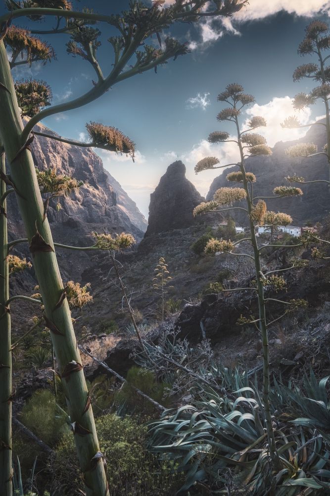 Photo voyage Espagne 17