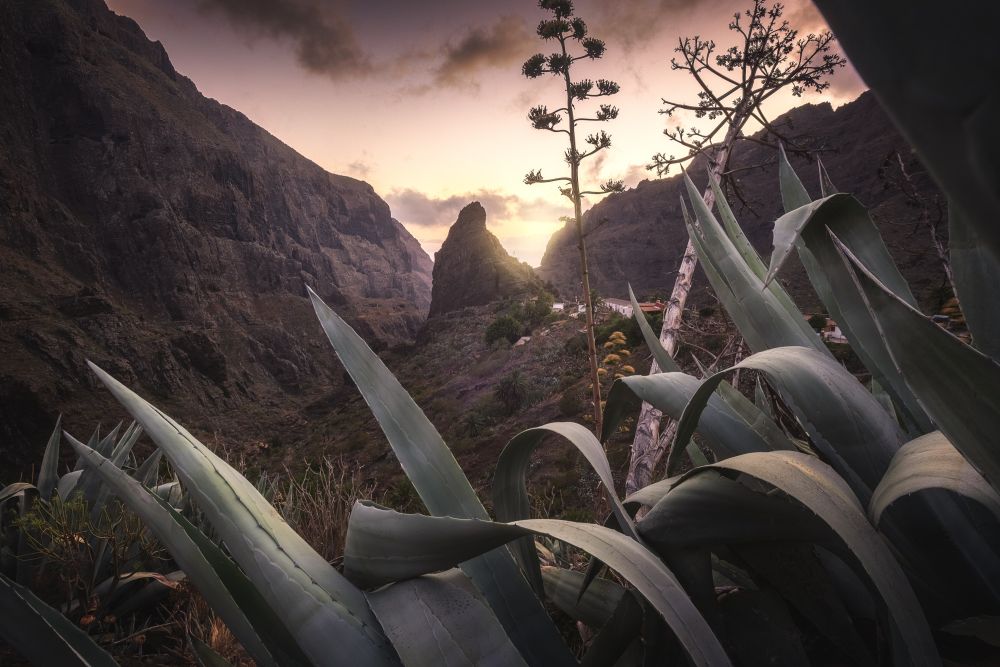 Photo voyage Espagne 19