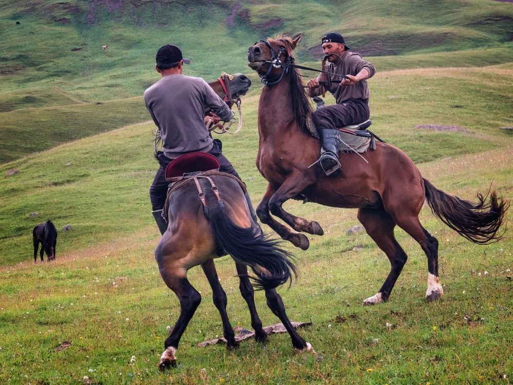 Muletiers s'entrainant au Bouzkachi