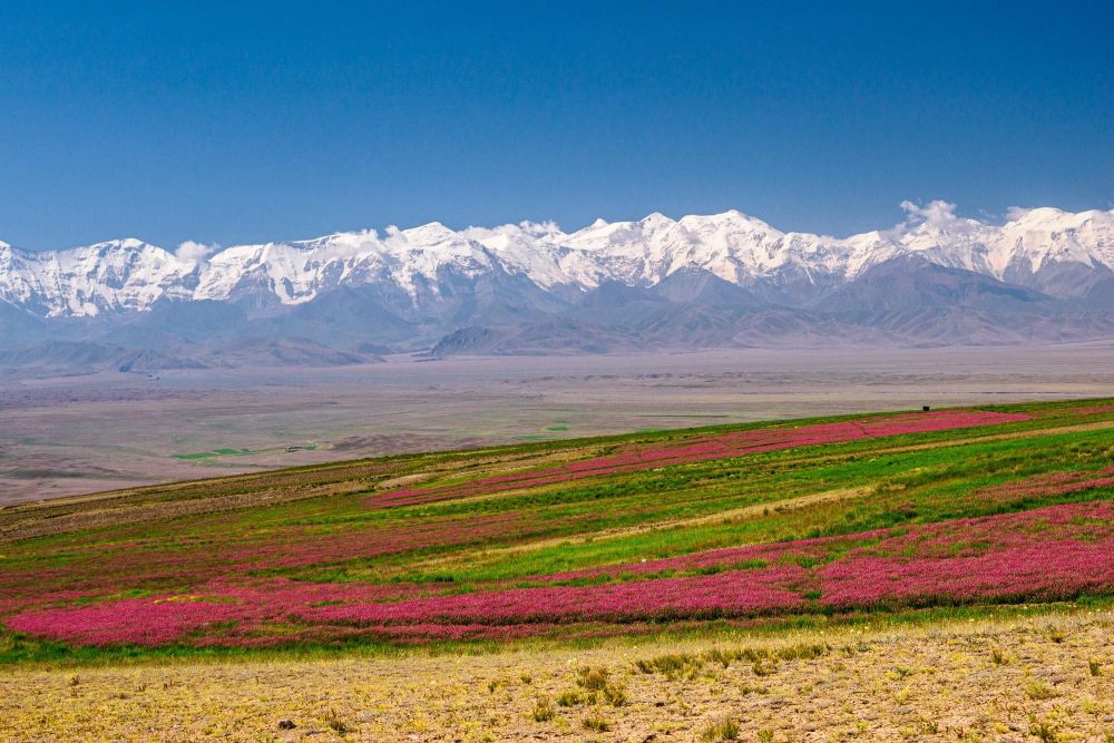 Photo voyage Kirghizistan 4