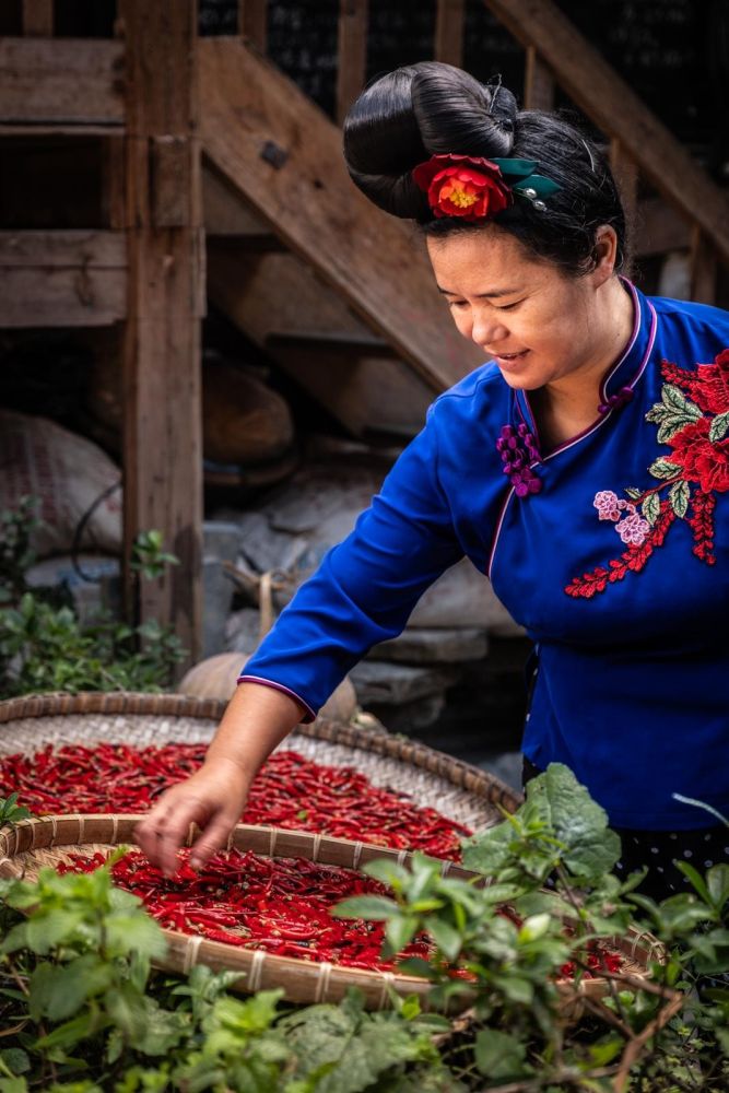 femme Miao faisant sécher des piments