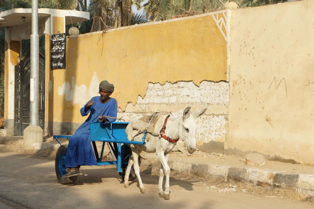 Anier village le long du Nil croisière en sandal Egypte